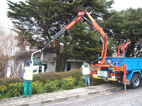 imagen de trabajos forestales