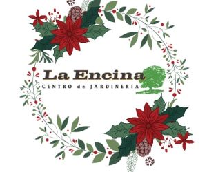ESPECIAL NAVIDAD